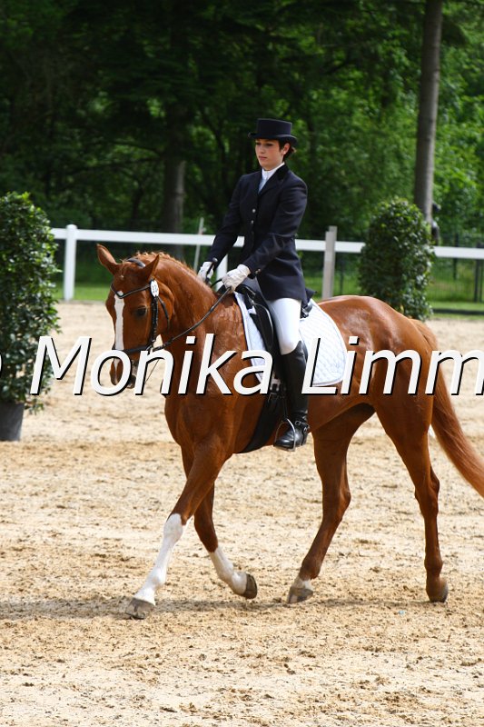 006M4286_Dressur L.JPG